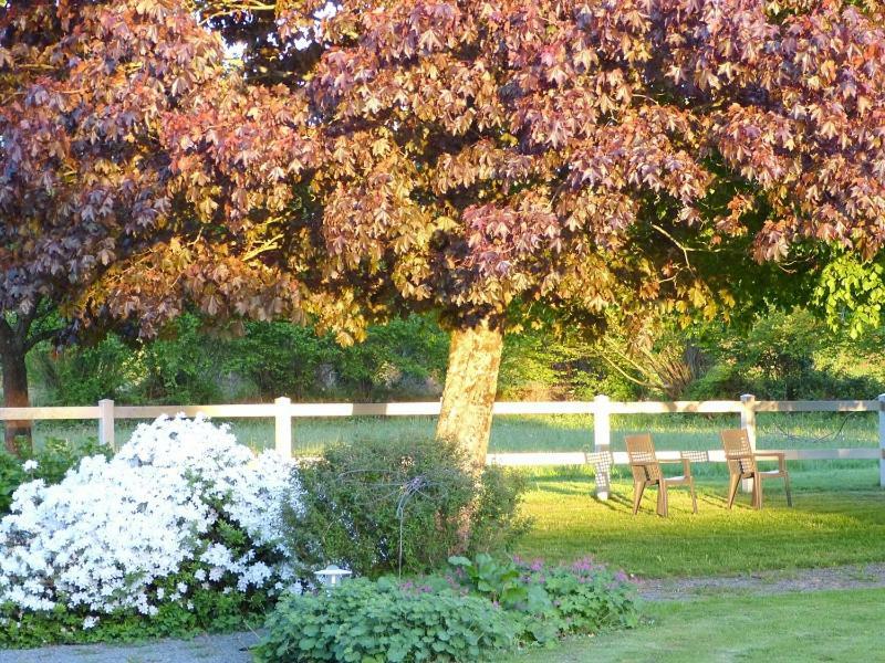 Domaine De L'Hotel Au Franc フルーリー エクステリア 写真